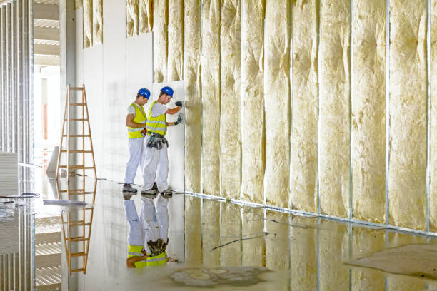 Best Insulation Installation Services in Cornish, ME